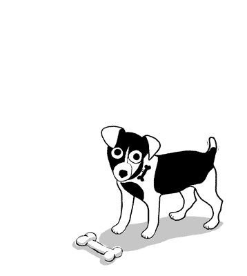 chien content